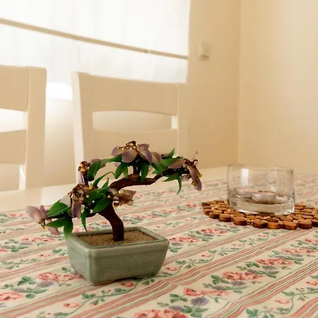 Banana Apartman Marbella